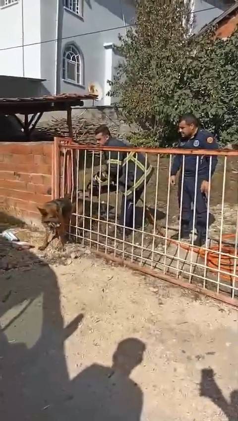 Demir Kapıya Sıkışan Köpeği İtfaiye Kurtardı