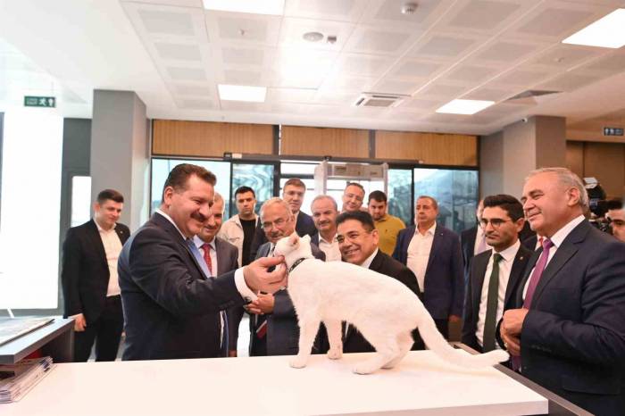 Büyükşehir, Mutlu Patiler Projesiyle Her Ay 5 Bin Sokak Hayvanına Ulaşıyor
