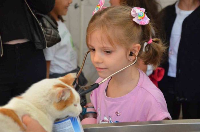 Öğrenciler Sokak Hayvanlarını Unutmadı