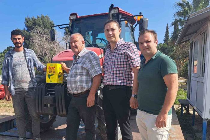 Söke Ovası’nda Ayçiçeği Hasadı Başladı