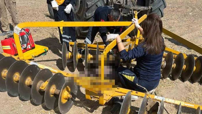 Traktöre Bağlı Diskaronun Altında Can Verdi