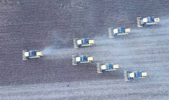 Ayçiçeği Hasadından 181 Milyon Tl Gelir Bekleniyor