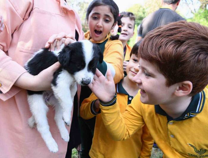 Hayvan Barınağını Ziyaret Eden Çocuklar Keyifli Vakit Geçirdi