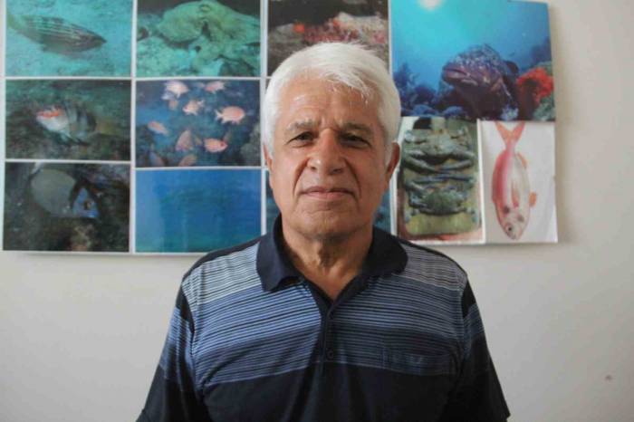 Müren Balığının Yem İçin Balon Balıklarına Saldırdığı Anlar Kameralara Yansıdı