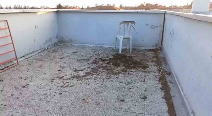 8 Yaşındaki Çocuğu Kaçırarak Fidye İstemişti, Tahliye Edildi