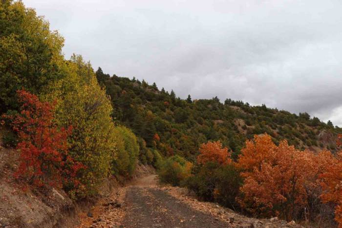 Şamatur Yaylası’nda Sonbaharın Renkleri