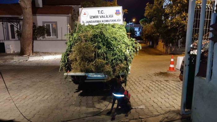 İzmir’deki Uyuşturucu Operasyonlarına 65 Gözaltı