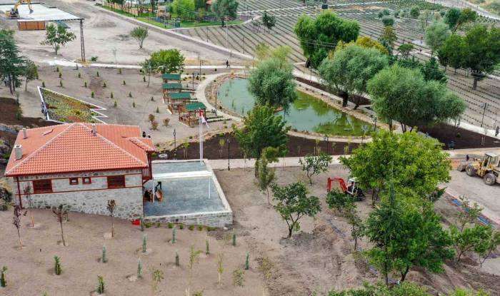 Başkentin En Otantik Nilüfer Havuzu Keçiören’de