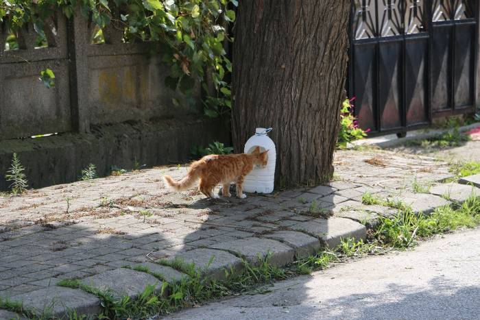 Engelsiz Hobi Atölyesinde Yürek Isıtan Etkinlik