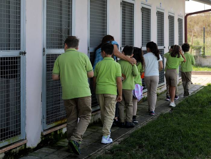 Hayvanları Koruma Günü’nde İç Isıtan Manzara