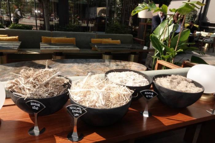 Kenevire Dev Yatırım