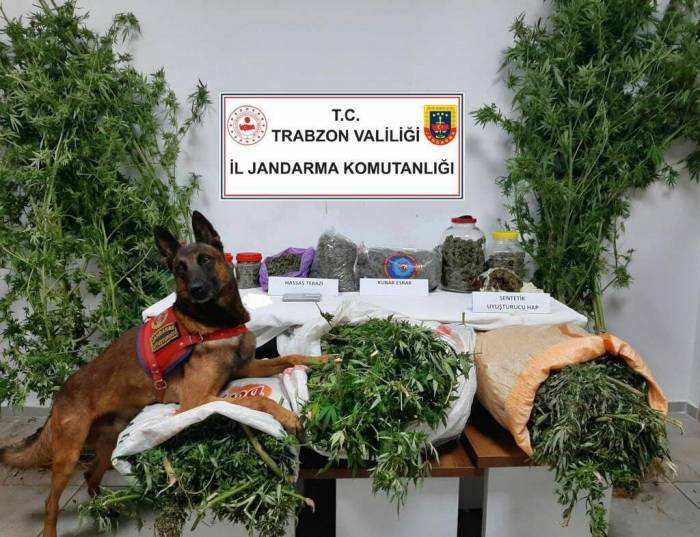 Trabzon’da 41 Kilogram Uyuşturucu Madde Ele Geçirildi, 5 Şüpheli Gözaltına Alındı