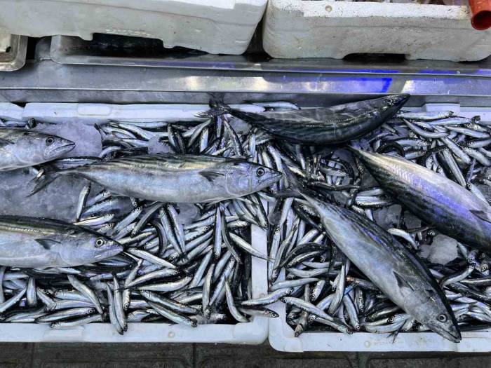 Balık Tezgahlarında Hafta Sonu Bereketi