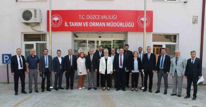 İlçelerin Tarım Potansiyelleri Masaya Yatırıldı