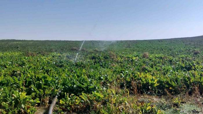 Bireysel Sulama Hibe Desteği Ödemeleri Tamamlandı