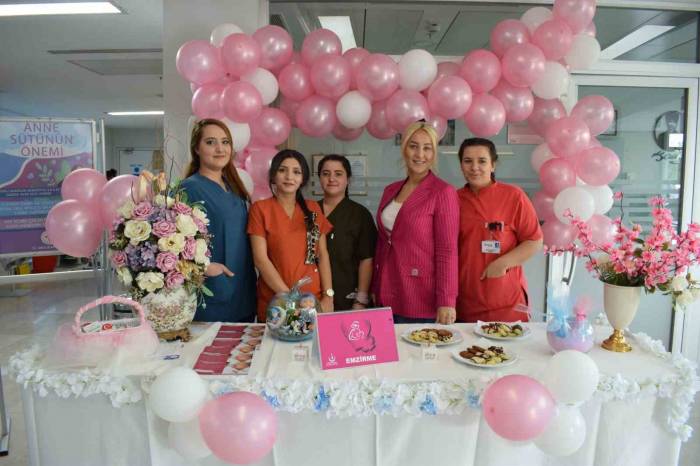 Anka’da Anne Sütünün Önemi Anlatıldı