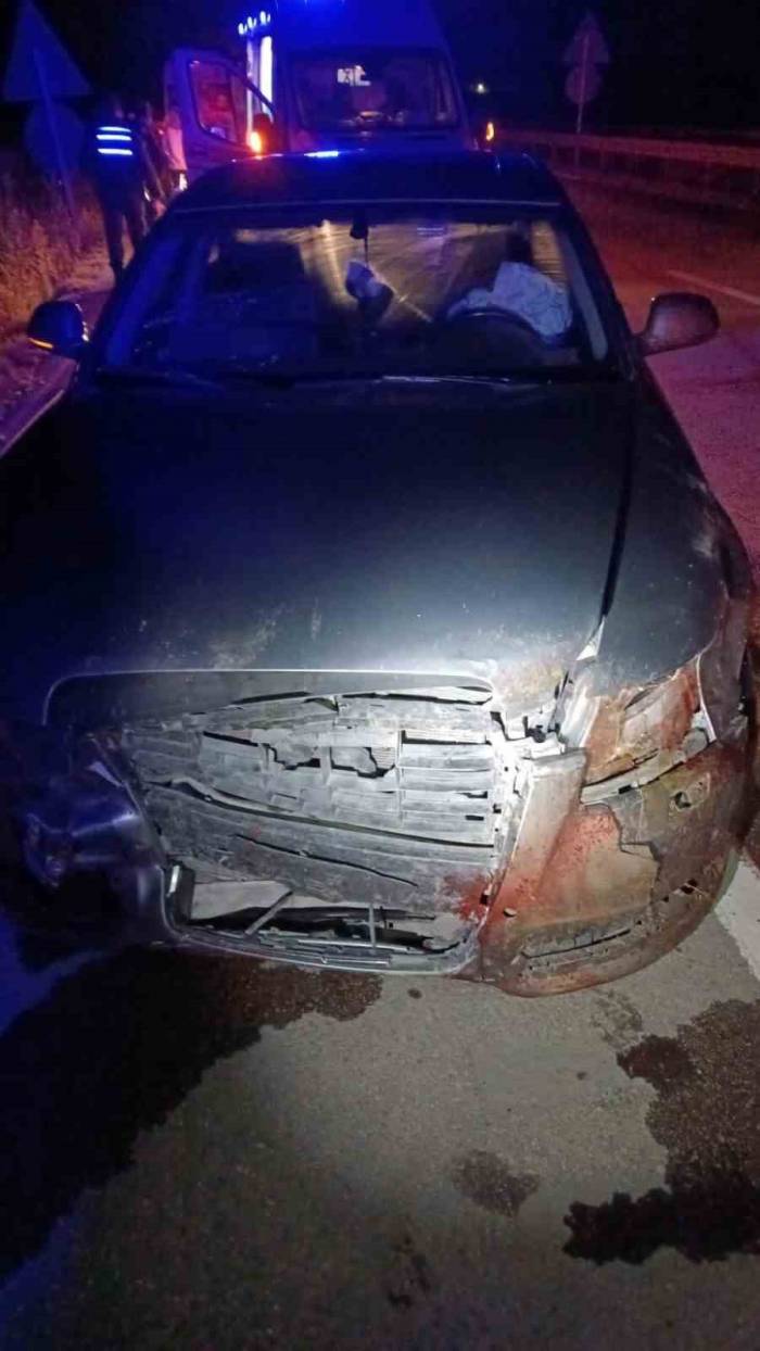 Domuz Sürüsüne Çarpan Otomobildeki 6 Kişi Yaralandı