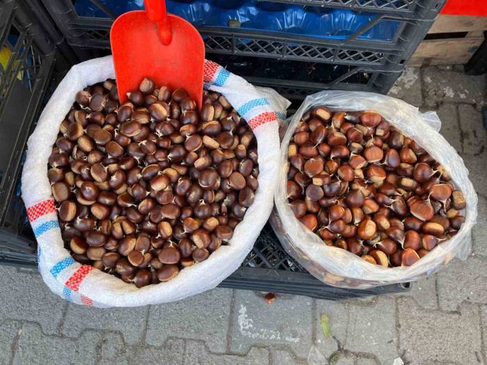 Sinop Kestanesi Tezgahlarda: Kilosu 250 Lira