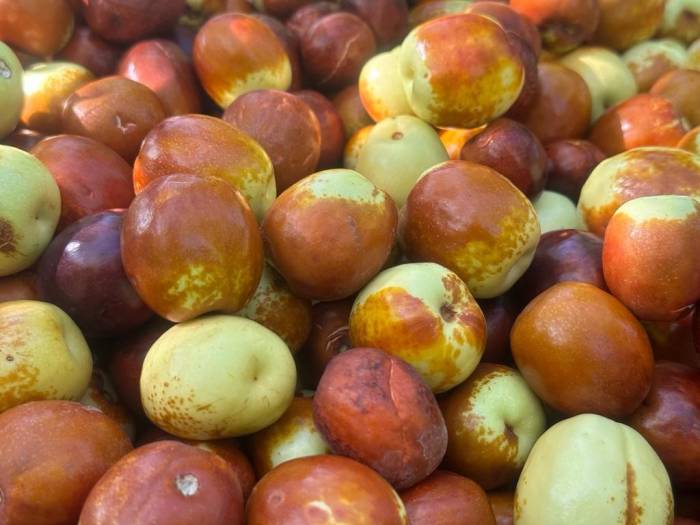 Başkent’in Yanı Başında Yetişen Şifa Kaynağı: Hünnap