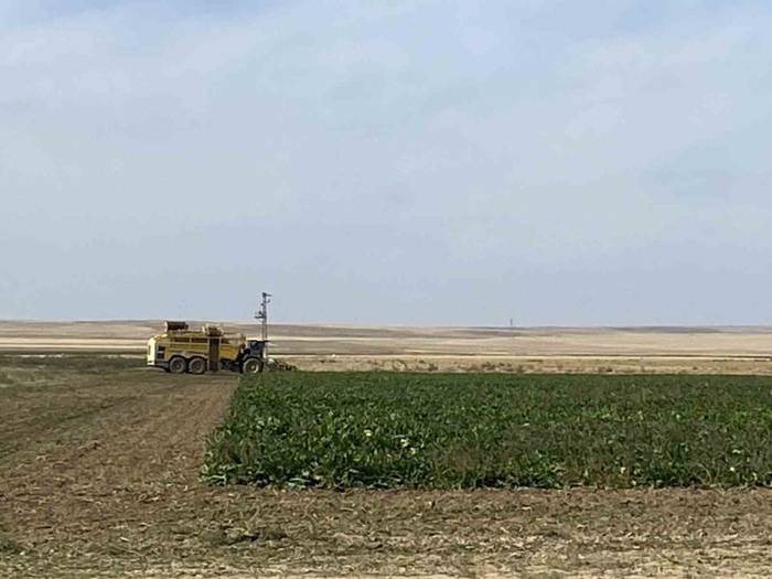Kulu’da Pancar Hasadı Başladı