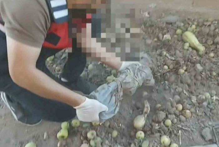Ağaç Altından Gömülü Tüfekler, Baza Altından Tabanca Ve Uyuşturucular Çıktı