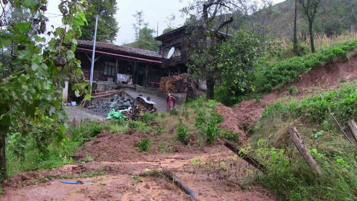 Artvin’de Şiddetli Yağışlar Etki Oldu