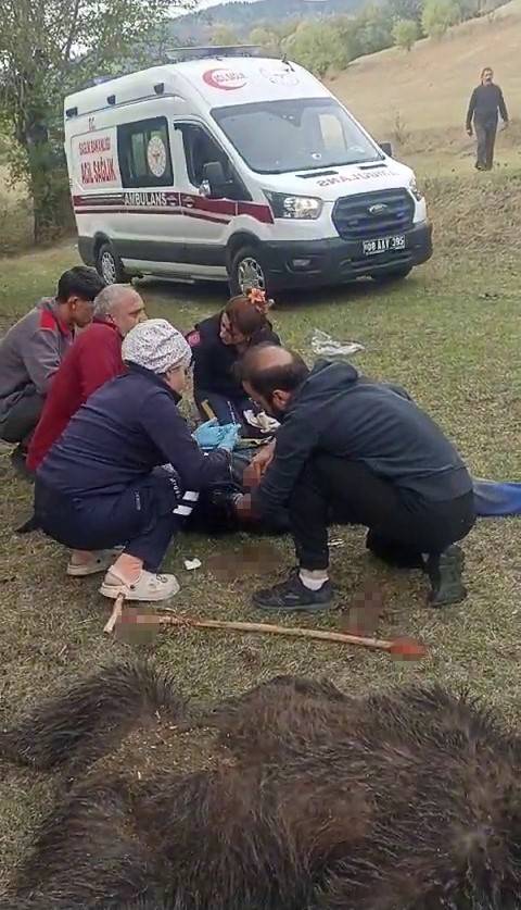 Yaşlı Adam Tarlada Ayının Saldırısına Uğradı