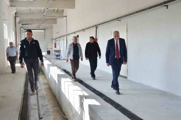 Nostaljik Tramvaylar Burada Korunacak