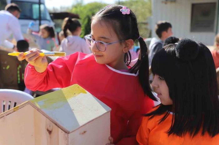 Öğrenciler, Kulübeleri Sokak Hayvanları İçin Hazırladı