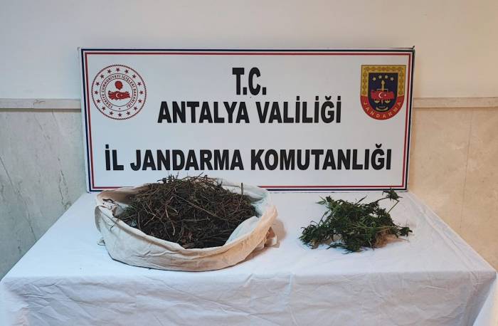 Jandarmanın "Huzurlu Sokaklar" Uygulamasında Çok Sayıda Uyuşturucu Ele Geçirildi