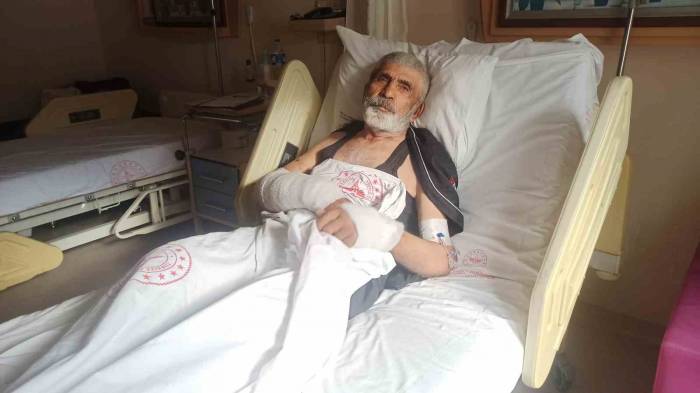 Artvin’de Ayı Saldırısından Komşularının Ayıyı Öldürmesi İle Kurtulan Yaşlı Adam O Anları Anlattı