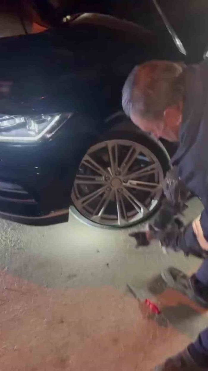 Otomobilin Kaputuna Giren Kedi Uzun Uğraşlar Sonucu Çıkartıldı