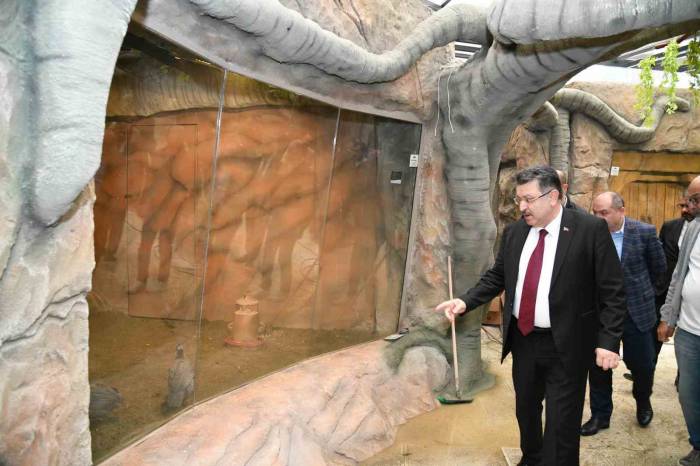 Trabzon Kuş Parkı Yarın Açılıyor