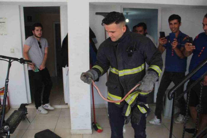 Kargo Şubesine Giren Yılan, İtfaiye Ekipleri Ve Çalışanlara Zor Anlar Yaşattı