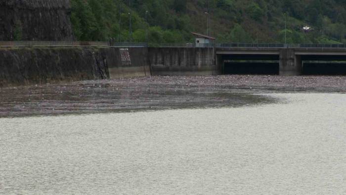 Artvin’de Sel Suları Muratlı Baraj Gölünü Çöplüğe Döndürdü