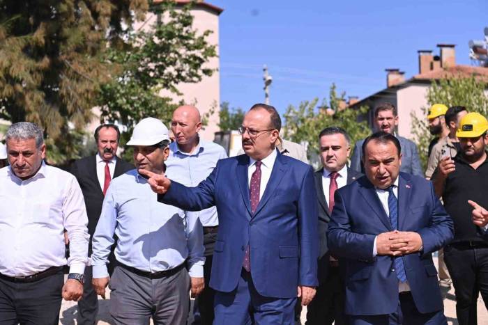 Aydın Valisi Canbolat, Bozdoğan’da İncelemelerde Bulundu