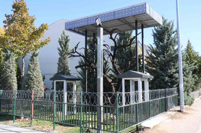 Şehitler Ağacı’ndan Asker Künyesi Çalan Kadın Ve Oğluna Para Cezası