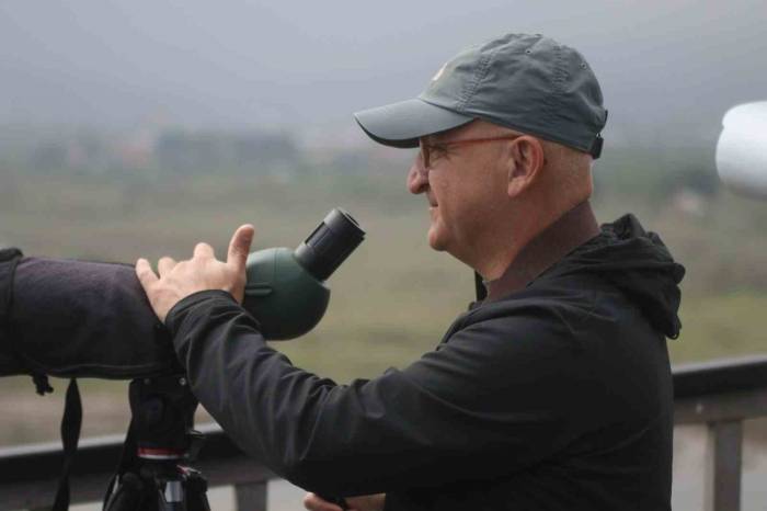 Soyu Azalmakta Olan "Kayın Baştankarası", Hersek Lagününde Gözlemlenerek Kayıt Altına Alındı