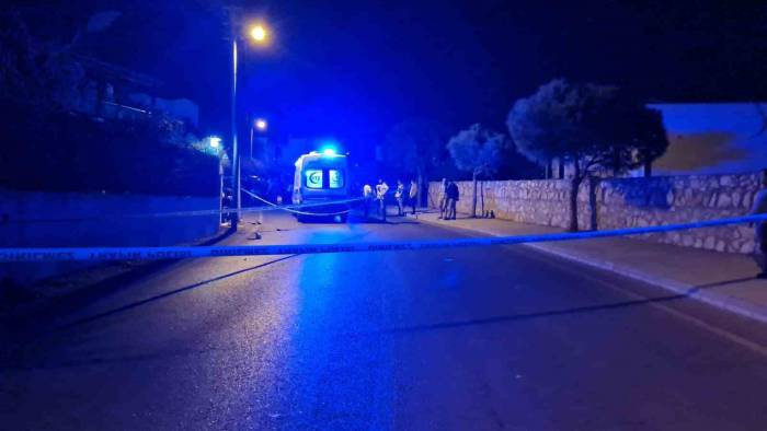 Feci Kazada Yaşamını Yitirdi