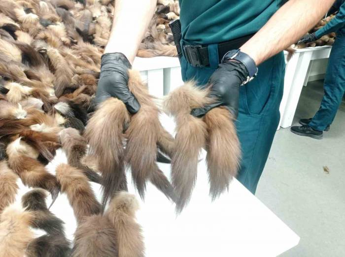 İstanbul Havalimanı’nda 1 Milyon 236 Bin Tl Değerinde Tilki Kuyruğu Yakalandı