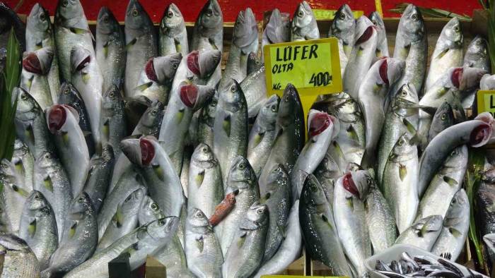 Denizlerin Prensi ’lüfer’ Yarı Yarıya Ucuzladı