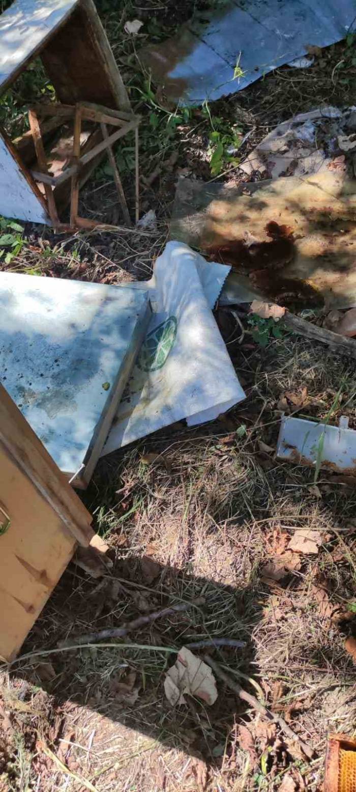 Bahçeye Giren Ayılar Arı Kovanlarına Ve Çevreye Zarar Verdi