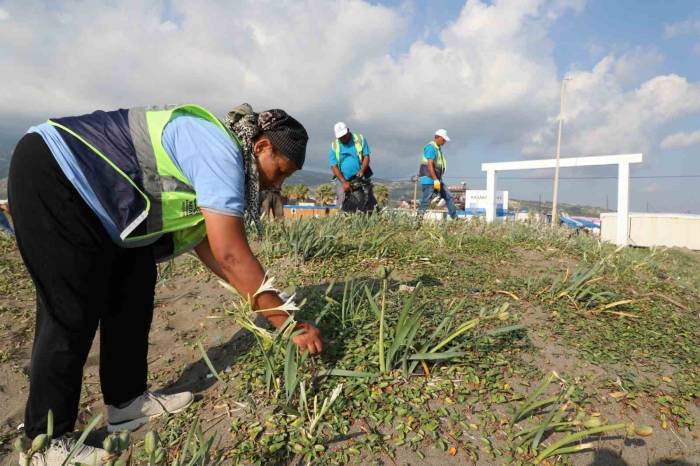 Hatay’ın Denizi Ve Kıyıları Temizleniyor