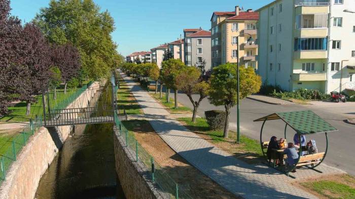 Kanal Boyuna Yeni Yürüyüş Yolu Ve Kamelyalar