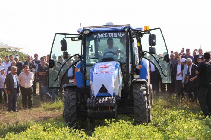Vali Atay, Traktöre Binerek Fıstık Hasadı Yaptı