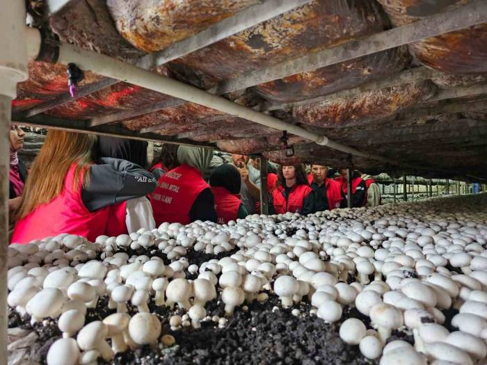 Tarım Öğrencileri Mantar Üretimini İnceledi