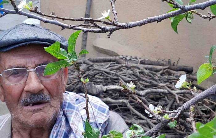 Erik Mevsimleri Şaşırdı, Aynı Yılda İkinci Ürünü Veriyor