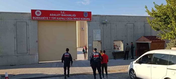 Jandarma Devriyeleri Zeytin Hırsızlarına Göz Açtırmıyor
