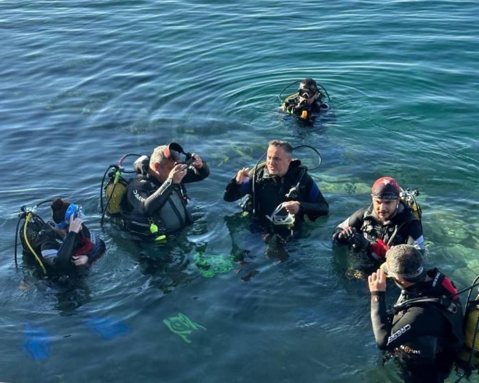 Bandırma Körfezini Pinalar Kurtaracak