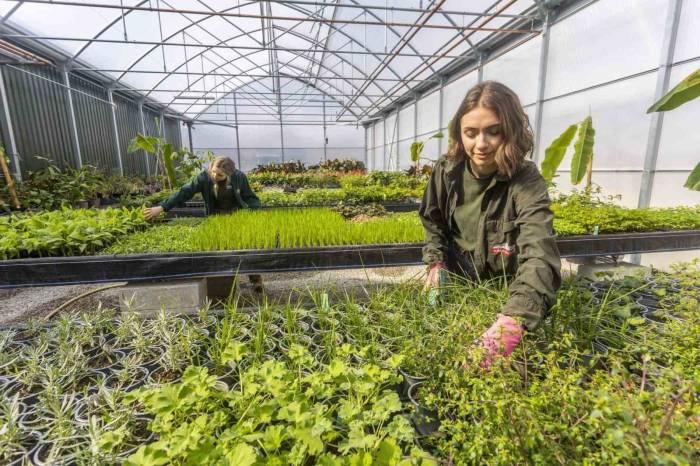 Ağrı’da Domates, Van’da Muz, Erzurum’da Çilek İmkansız Değil